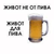 ������ ��� wealleape